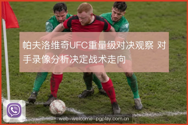 笼边缠斗分寸